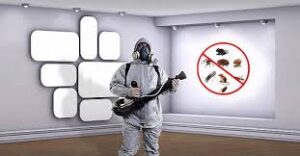 شركة مكافحة حشرات في ابوظبي