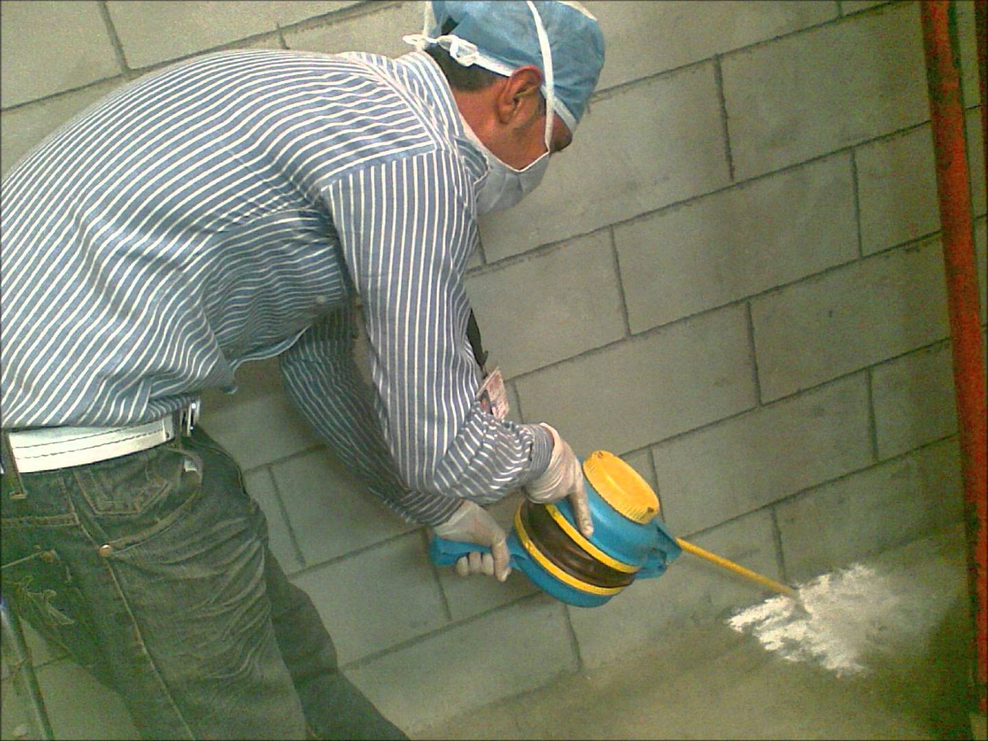 شركة مكافحة الفئران في ام القيوين