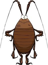 شركة مكافحة الصراصير في العين