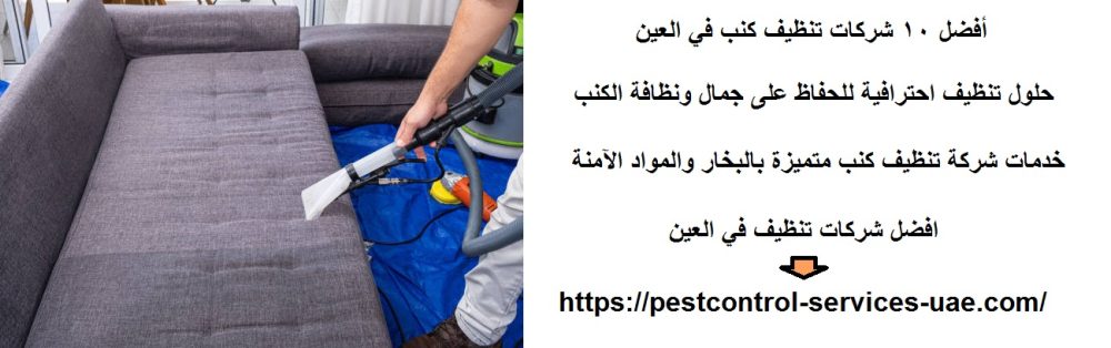 أفضل 10 شركات تنظيف كنب في العين