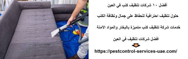 أفضل 10 شركات تنظيف كنب في العين