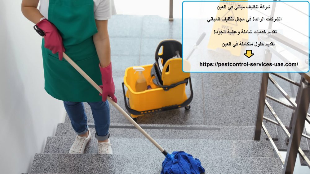 شركة تنظيف مباني في العين