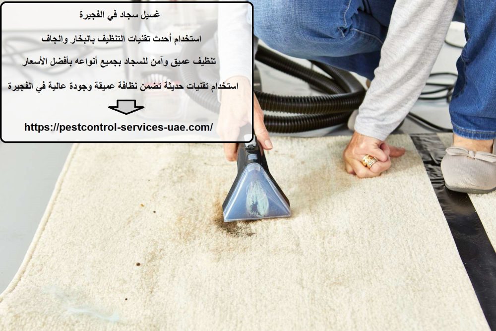 غسيل سجاد في الفجيرة