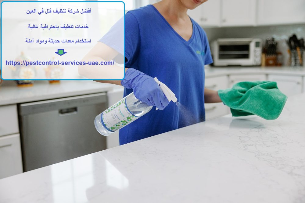 أفضل شركة تنظيف فلل في العين