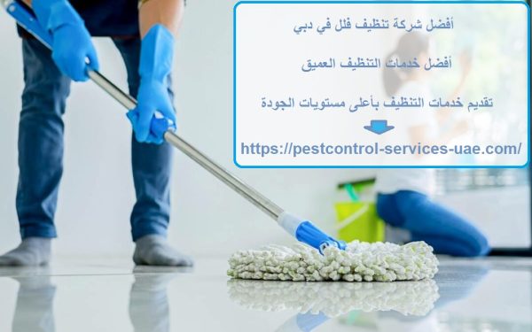 أفضل شركة تنظيف فلل في دبي