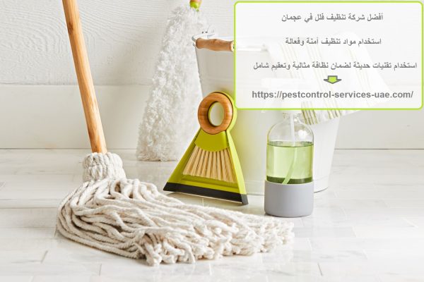 أفضل شركة تنظيف فلل في عجمان