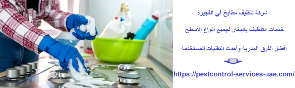 شركة تنظيف مطابخ في الفجيرة