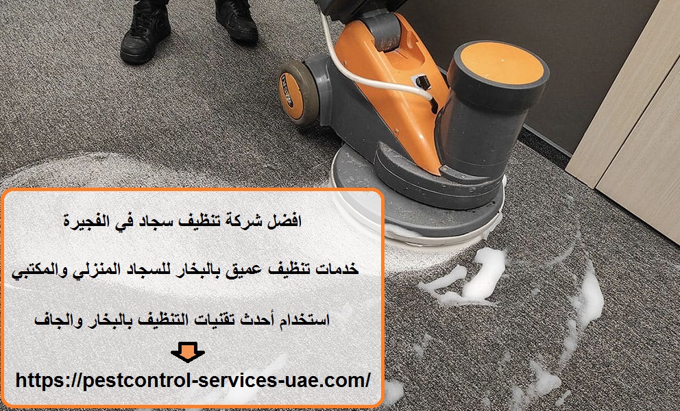 افضل شركة تنظيف سجاد في الفجيرة