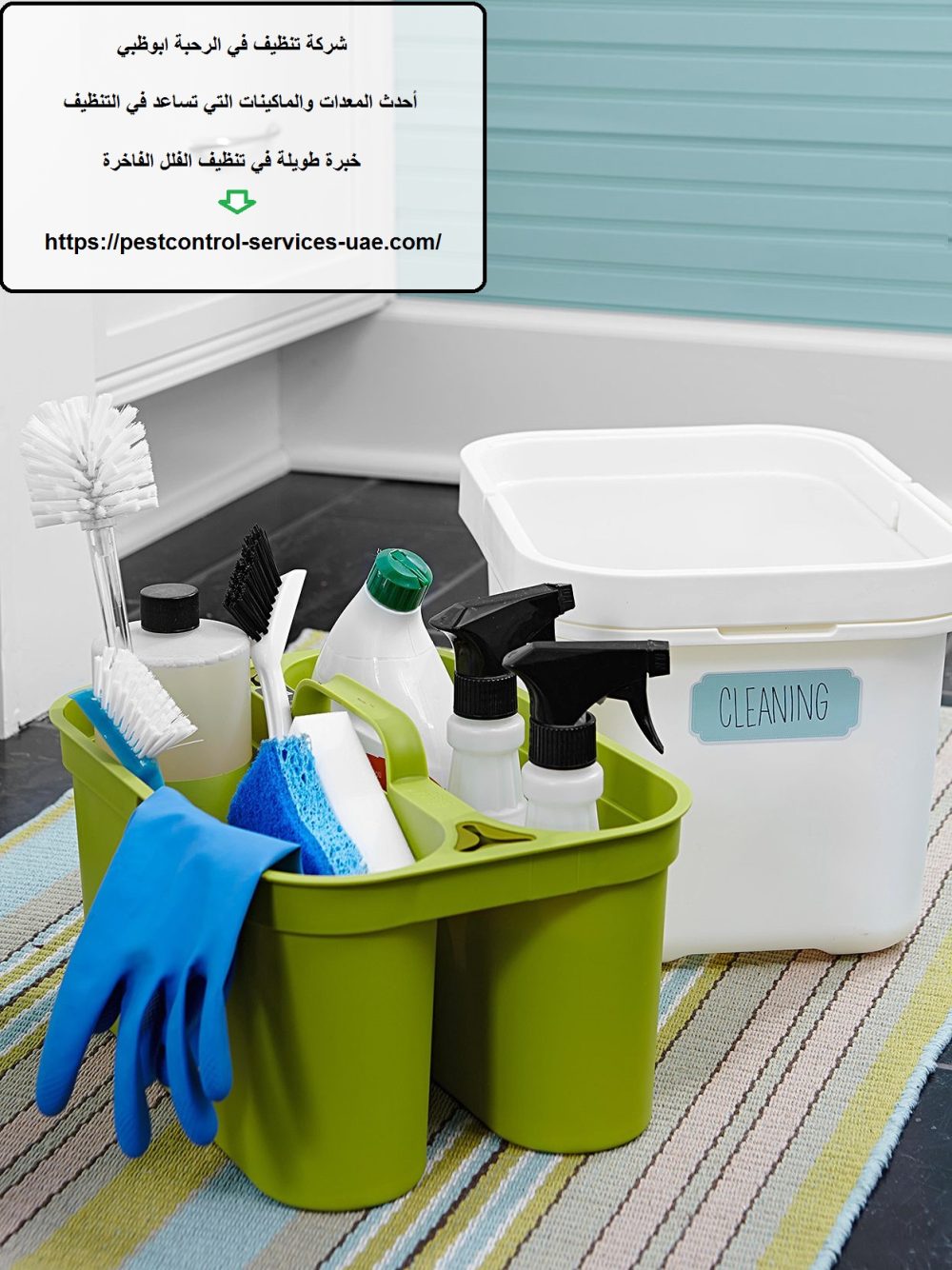 شركة تنظيف في الرحبة ابوظبي
