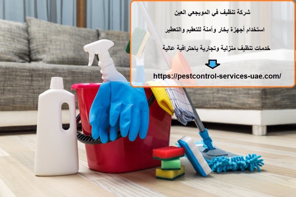 شركة تنظيف في المويجعي العين