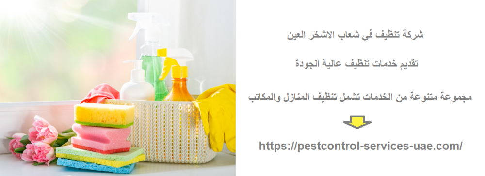 شركة تنظيف في شعاب الاشخر العين