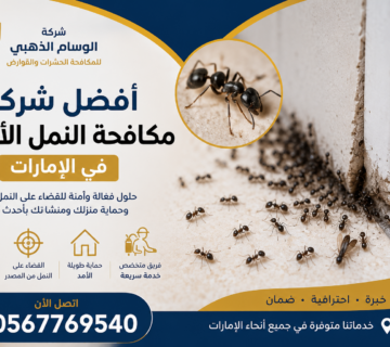 أفضل طريقة مكافحة النمل الأسود في الإمارات