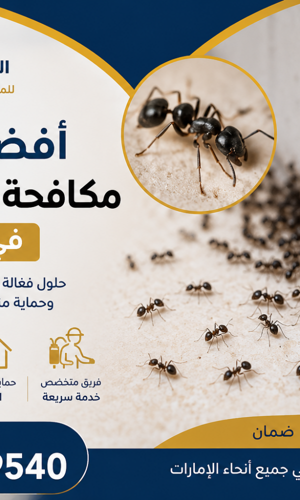 أفضل طريقة مكافحة النمل الأسود في الإمارات