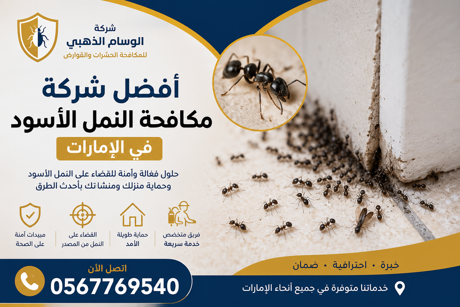 أفضل طريقة مكافحة النمل الأسود في الإمارات