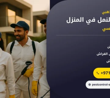 صورة مكافحة النمل في المنزل: طرق فعالة تخلّصك منه نهائياً